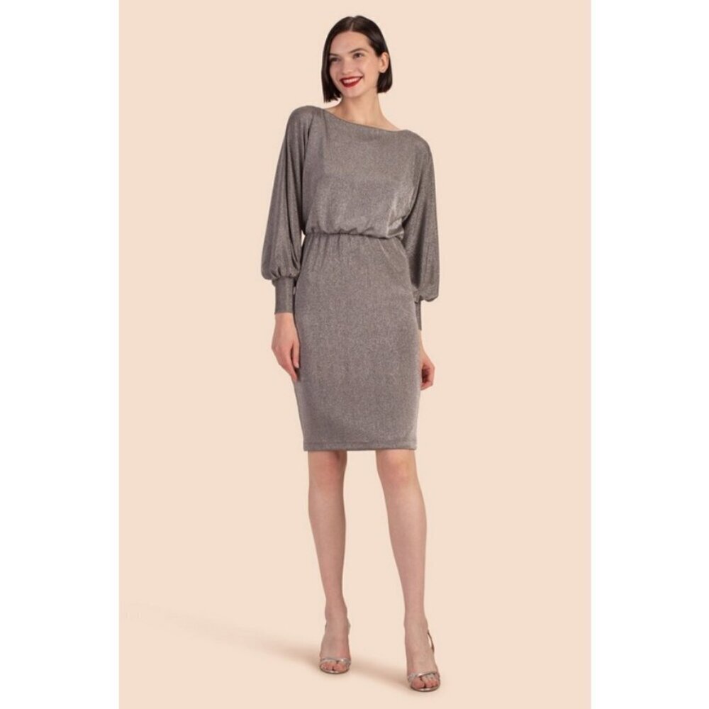 💕TRINA TURK💕 Europa Dress ~ Mercury Silver XS NWT